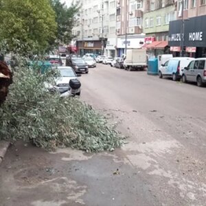 balikesirde firtina agaclari devrildi RSHqfzdk