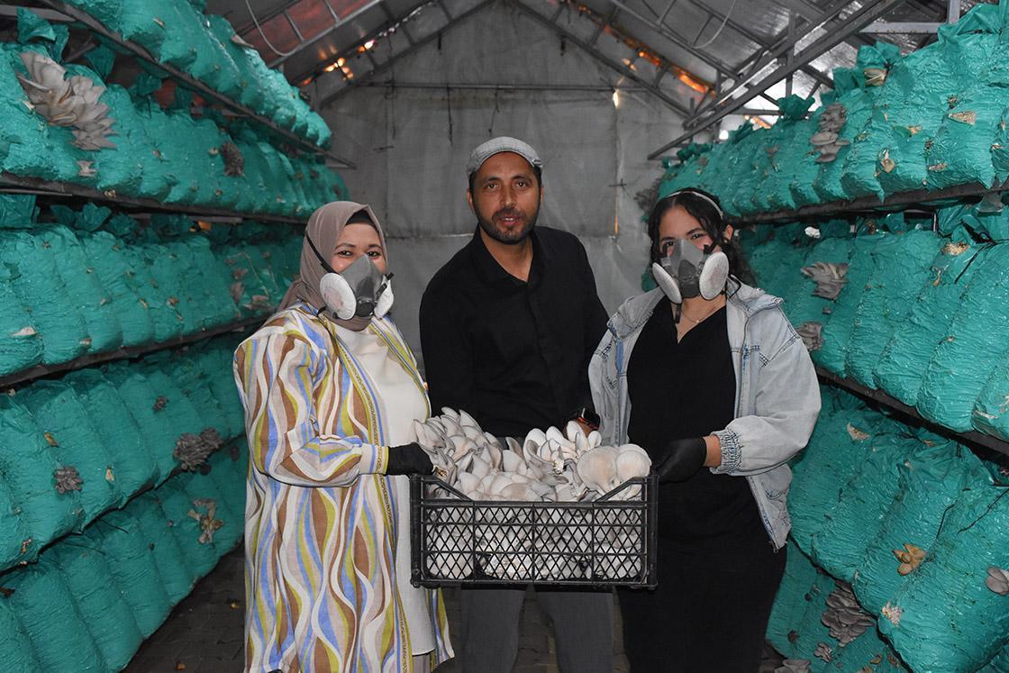 kadin girisimci cadir seralarda yilda 40 ton istiridye mantari uretiyor LO1yYiiV.jpg