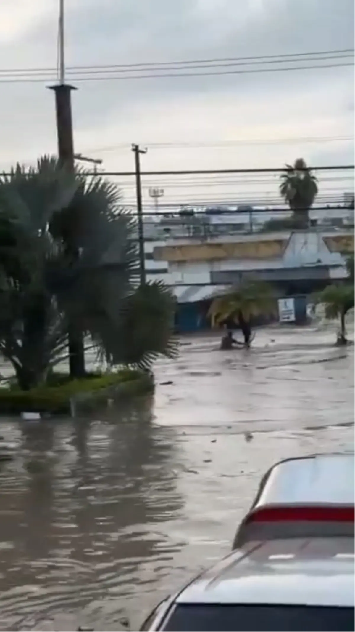 meksikada siddetli yagislar sele neden oldu 41 olu MgKIZ2Vf.jpg