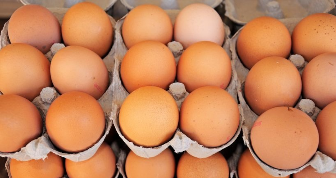 yumurta krizi kapida uretimde sert dusus vatvb96w.jpg