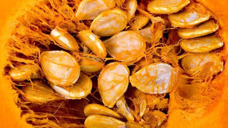 mutfakta sebze dogada meyve a vitamini deposu kavunla ayni aileden Yrqp6LG4.jpg